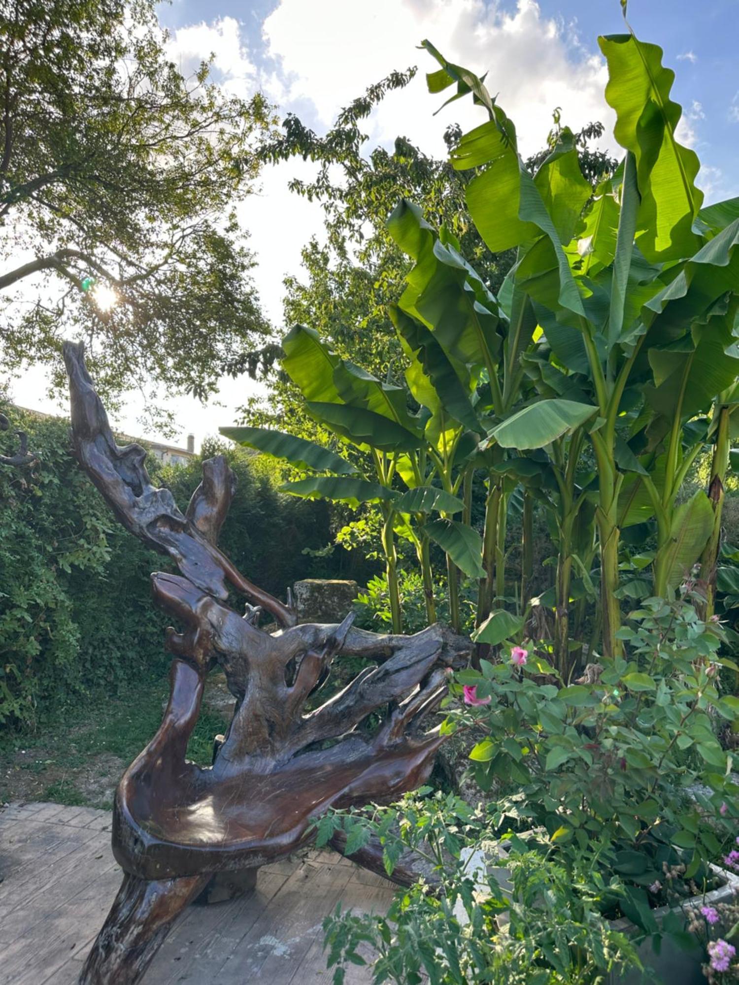 Le Temps D'Un Reve Bed & Breakfast Ravenel Luaran gambar